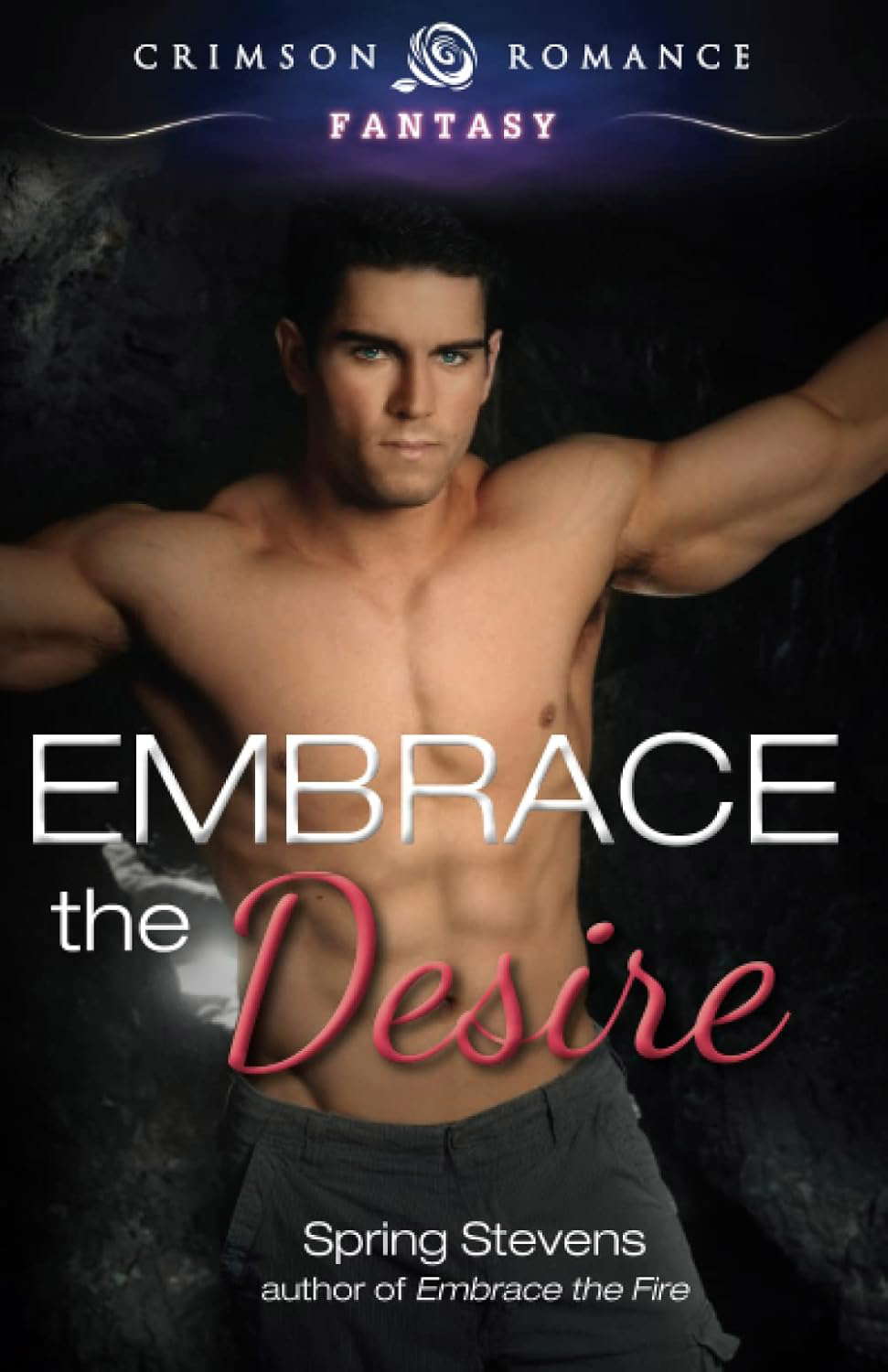 Embrace The Desire (2) poster