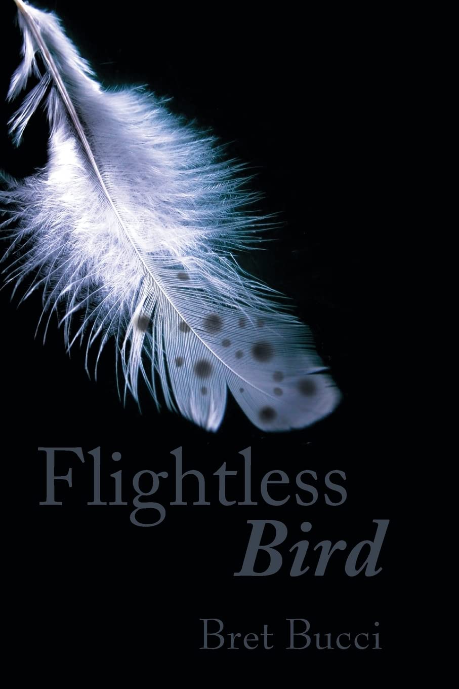 Flightless Bird poster