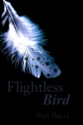 Flightless Bird poster