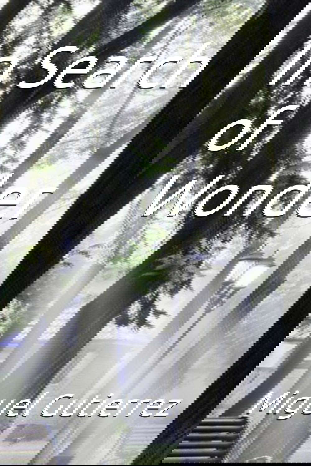 In Search of Wonder (The In Search series) poster