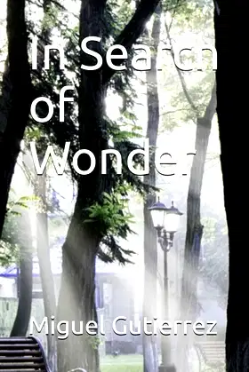 In Search of Wonder (The In Search series) poster