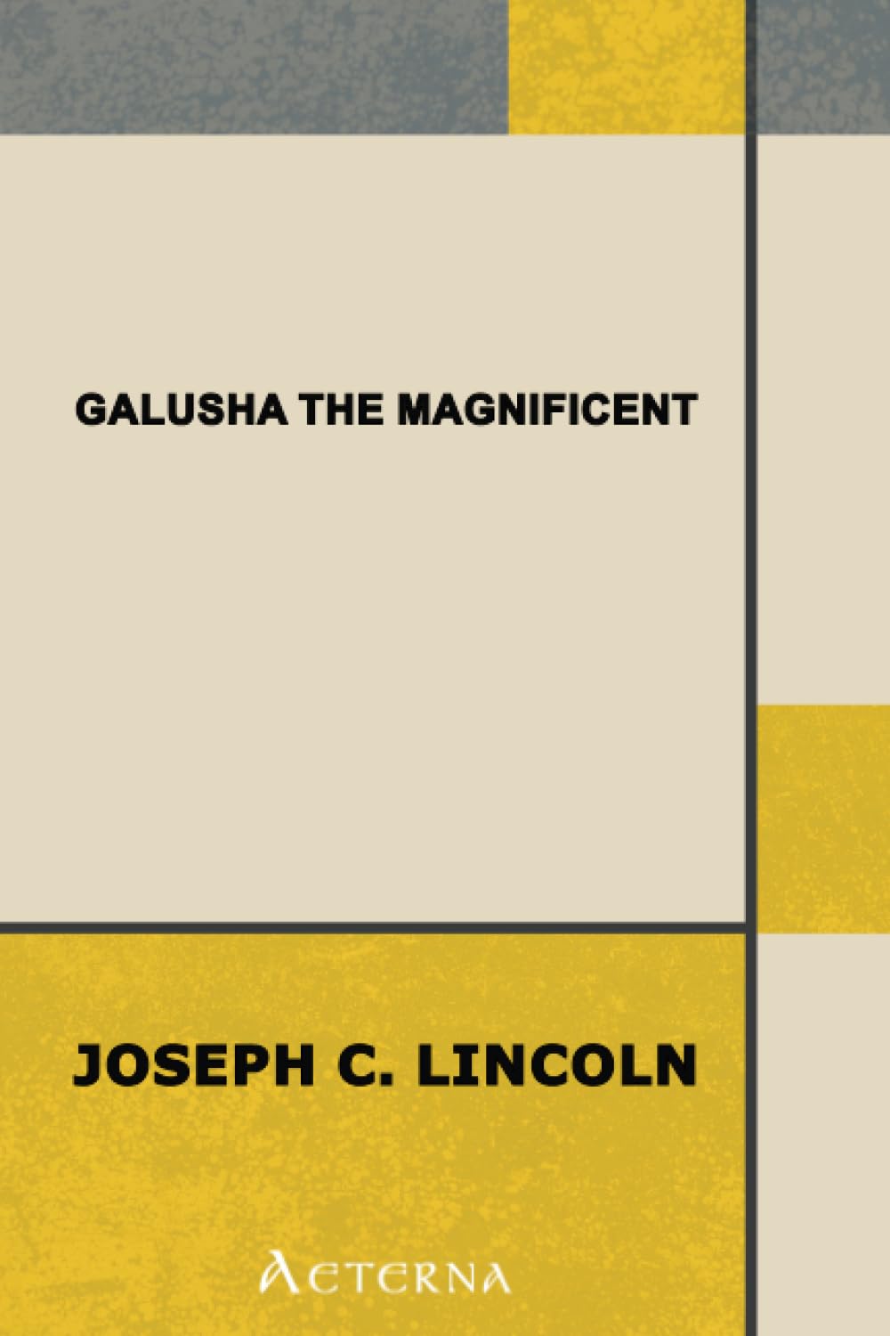 Galusha the Magnificent poster