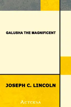 Galusha the Magnificent poster