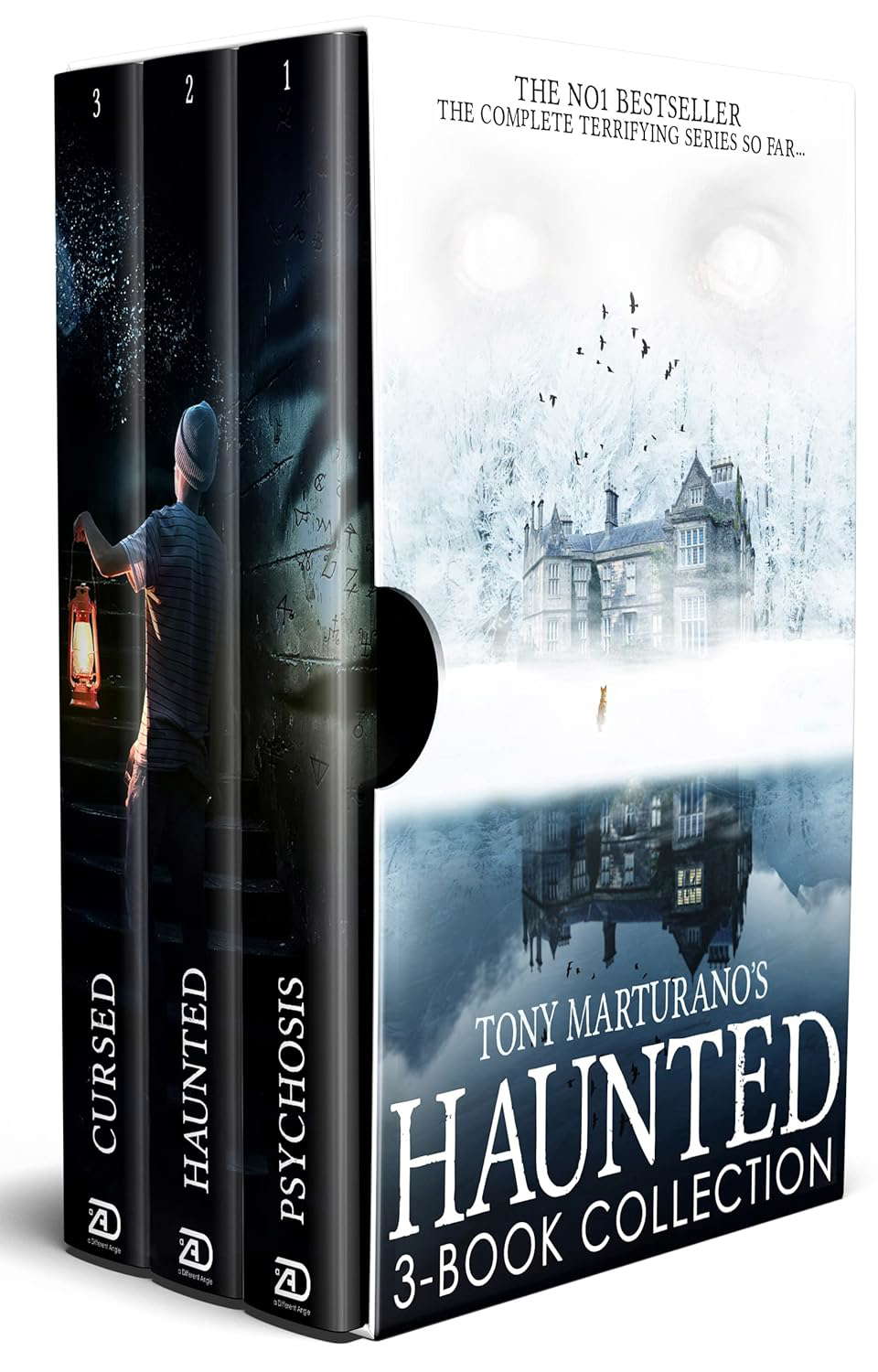 Haunted Box Set : Books 1 -3 poster