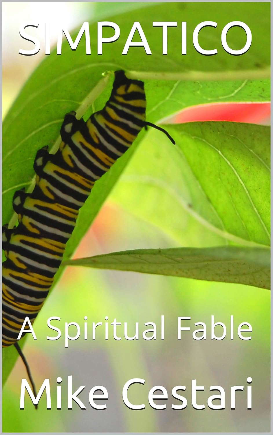 SIMPATICO: A Spiritual Fable poster