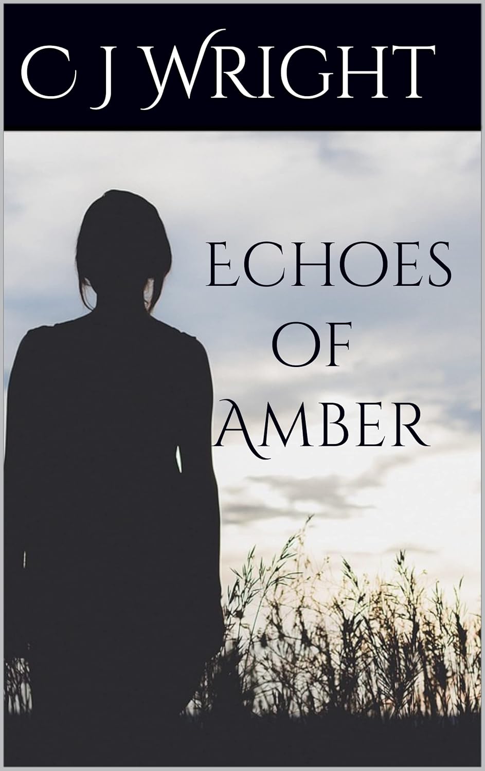 Echoes of Amber poster