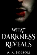 What Darkness Reveals poster
