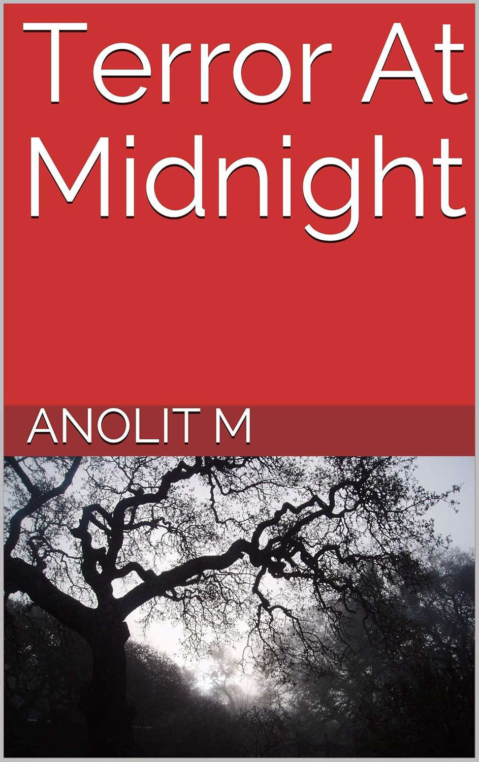 Terror At Midnight poster