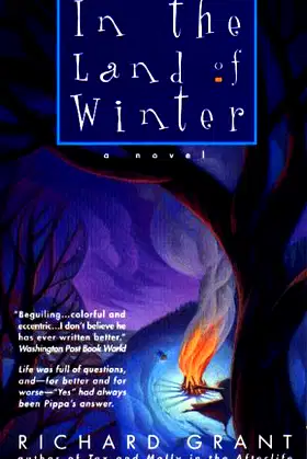 In the Land of Winter poster