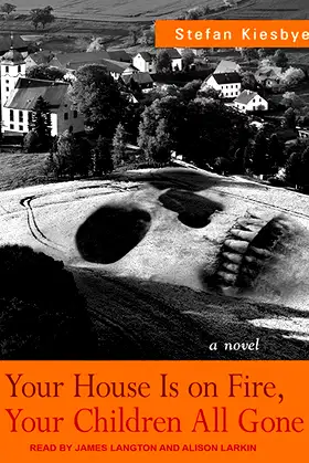 Your House Is on Fire, Your Children All Gone poster