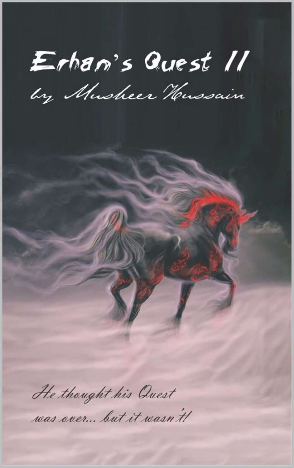 Erhan's Quest II poster