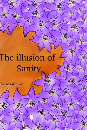 The Illusion Of Sanity poster