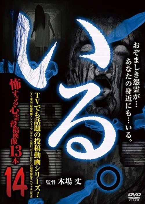 「Iru.」~ Kowasugiru Tōkō Eizō 13-hon ~ Vol.14 poster