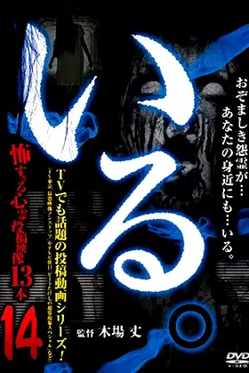 「Iru.」~ Kowasugiru Tōkō Eizō 13-hon ~ Vol.14 poster