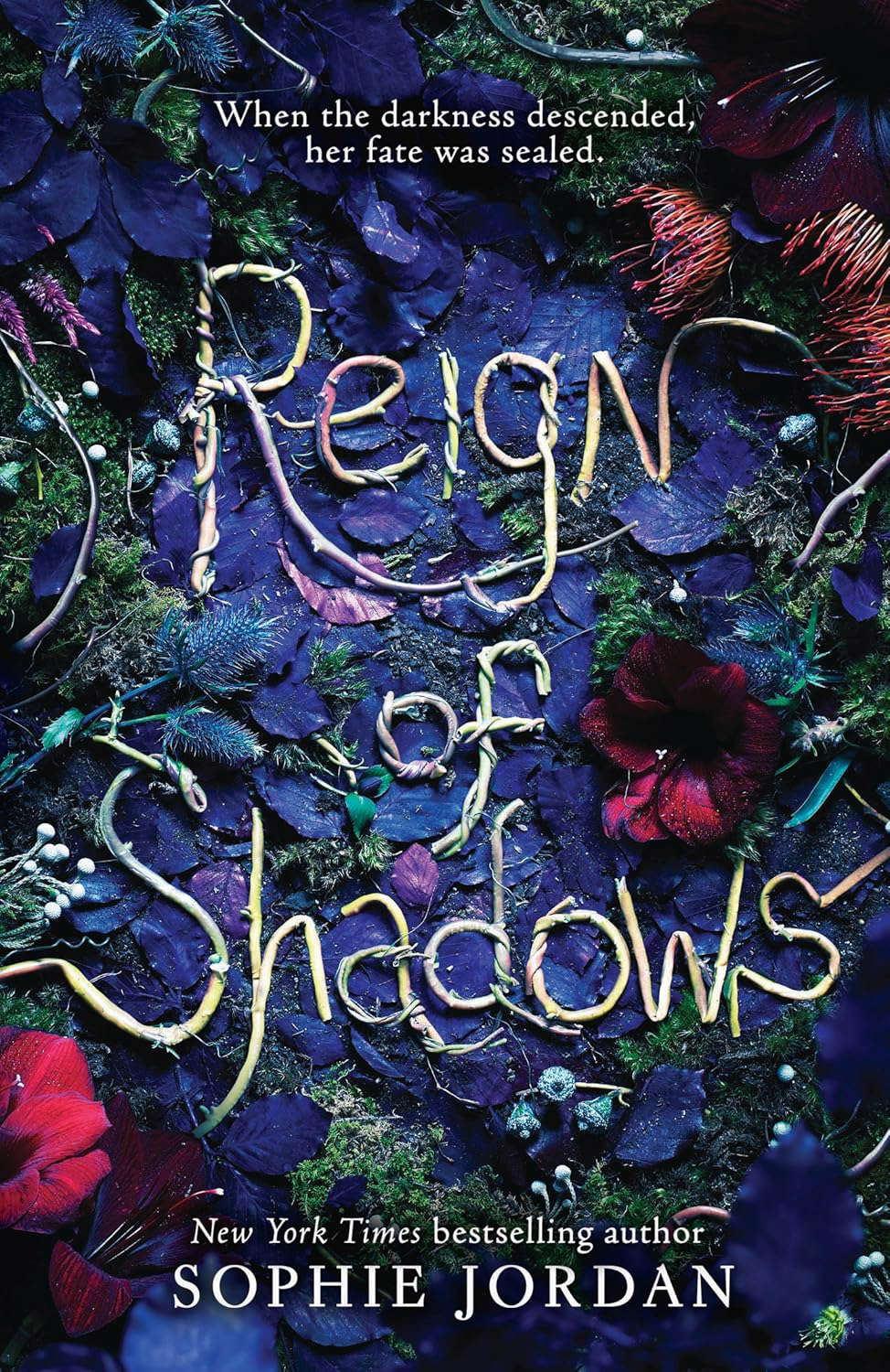 Reign of Shadows (Reign of Shadows, 1) poster