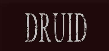 DRUID capsule