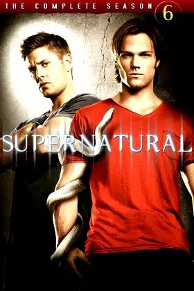 Season 6 poster