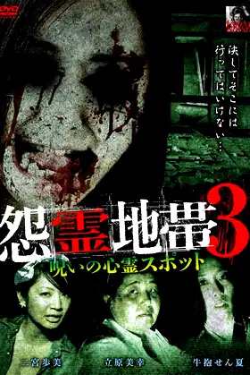 Grudge Zone 3: Cursed Haunted Spots poster