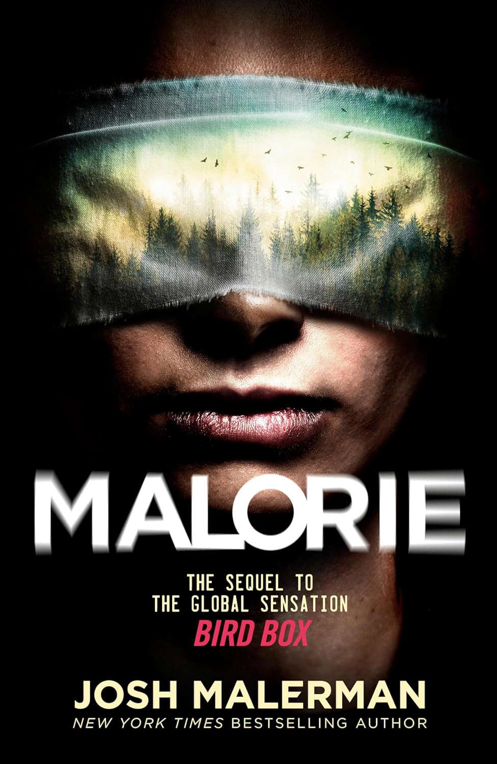 Malorie: A Bird Box Novel (Bird Box, 2) poster