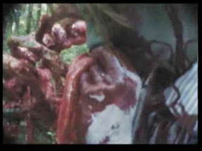 Zombie Cult Massacre...Trailer poster