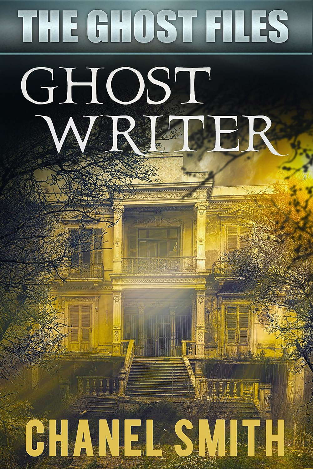 Ghost Writer poster