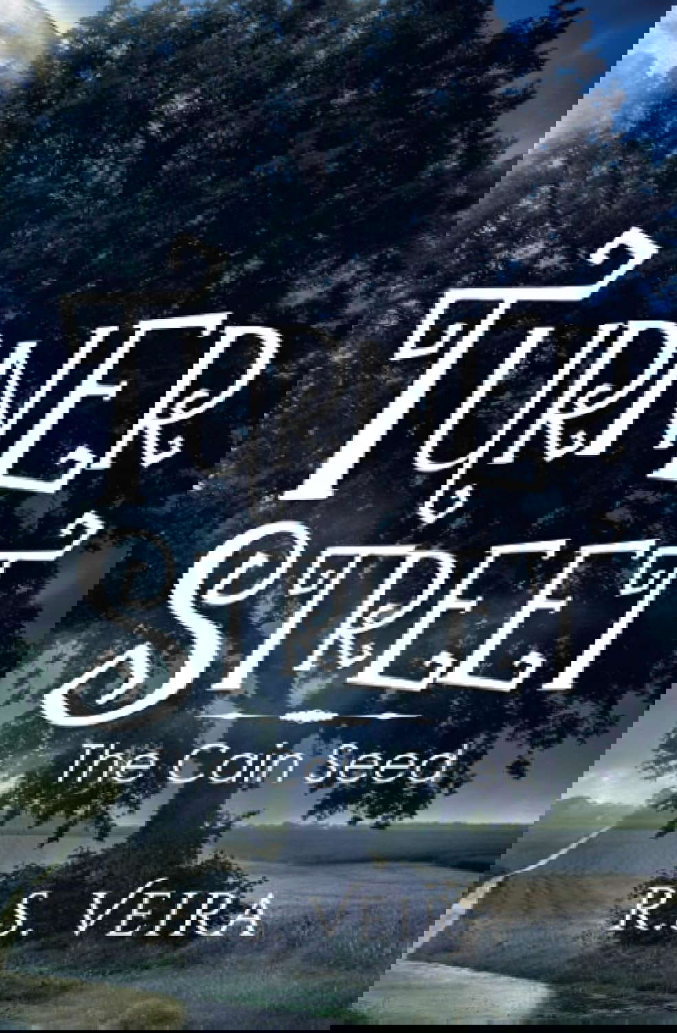 Turner Street: The Cain Seed (Turner Street Chronicles) poster