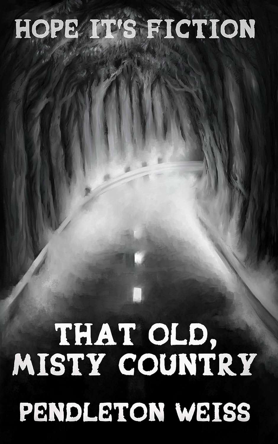 That Old, Misty Country (Hope It's Fiction Book 1) poster
