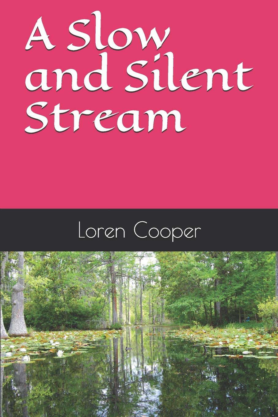 A Slow and Silent Stream poster