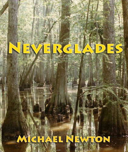 Neverglades poster
