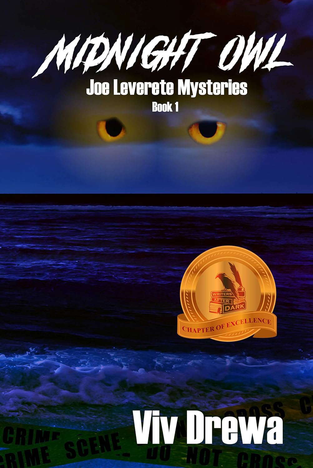 Midnight Owl (Joe Leverette Mysteries Book 1) poster