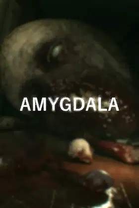 Amygdala poster