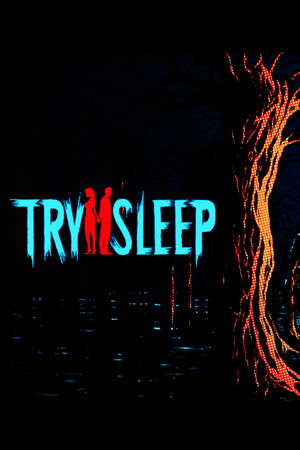 Try 2 Sleep poster