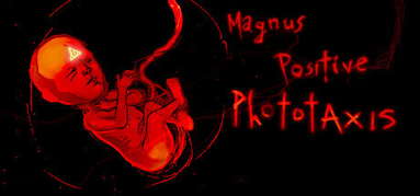 Magnus Positive Phototaxis capsule