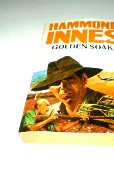 Golden Soak poster