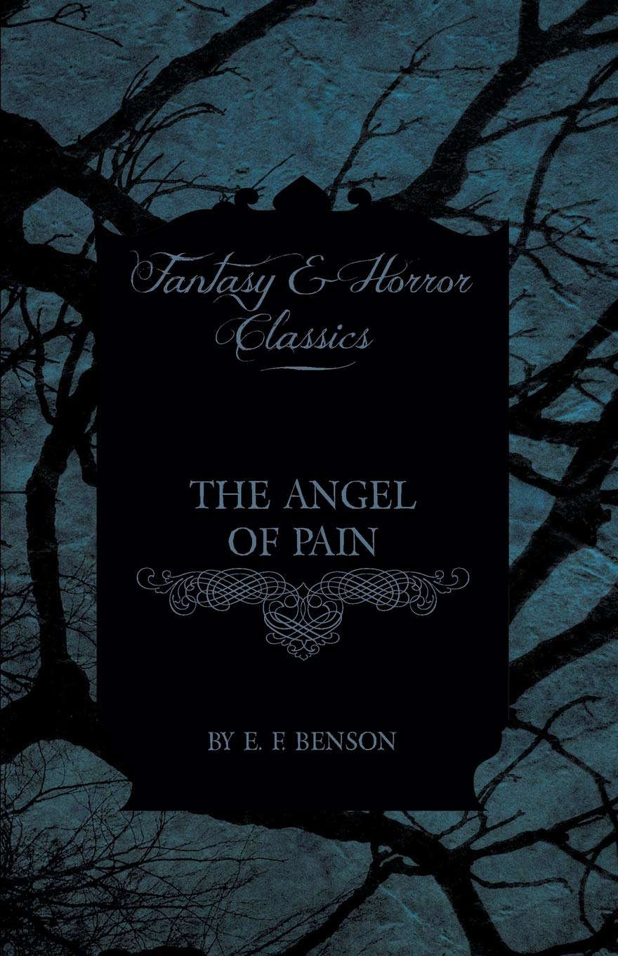 The Angel Of Pain poster