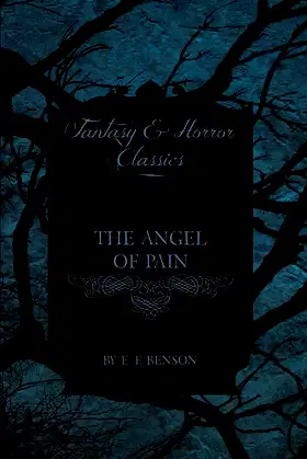 The Angel Of Pain poster
