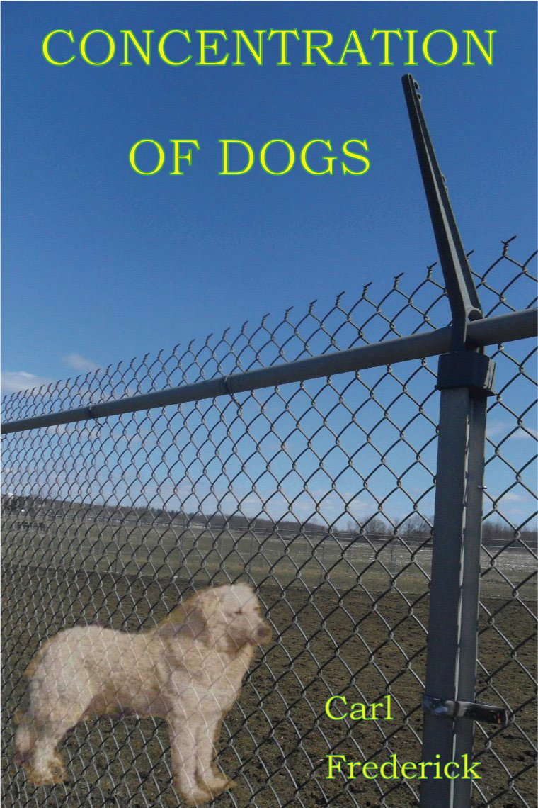 Concentration of Dogs poster