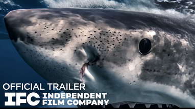 CHUM | Official Trailer Ft. Alice Eve | Independent Film Company poster