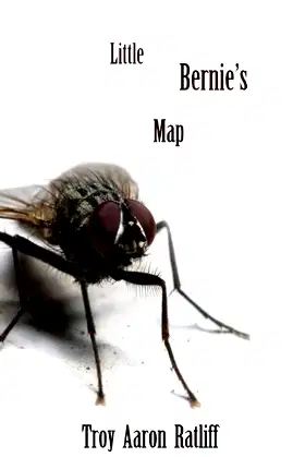Little Bernie's Map poster
