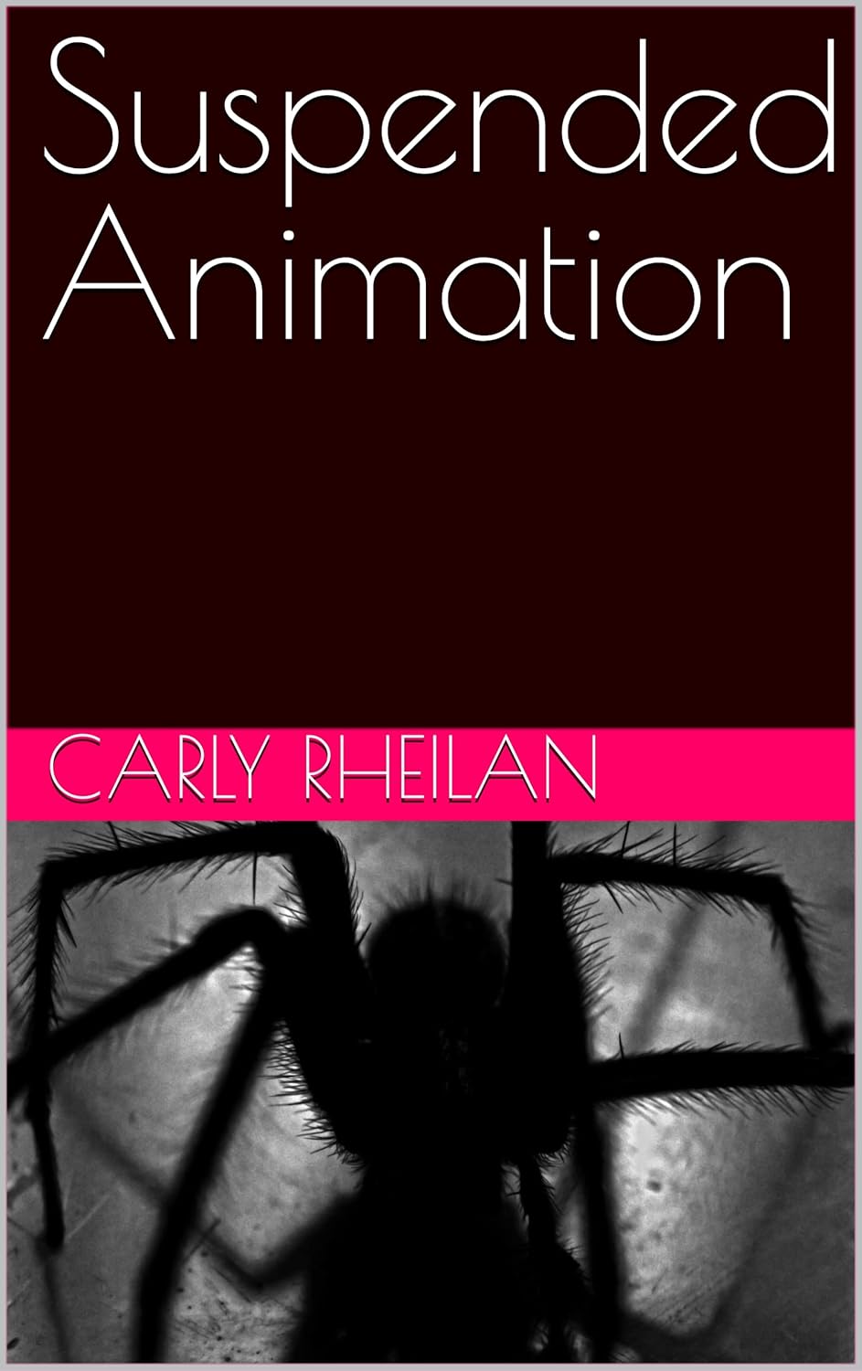 Suspended Animation poster
