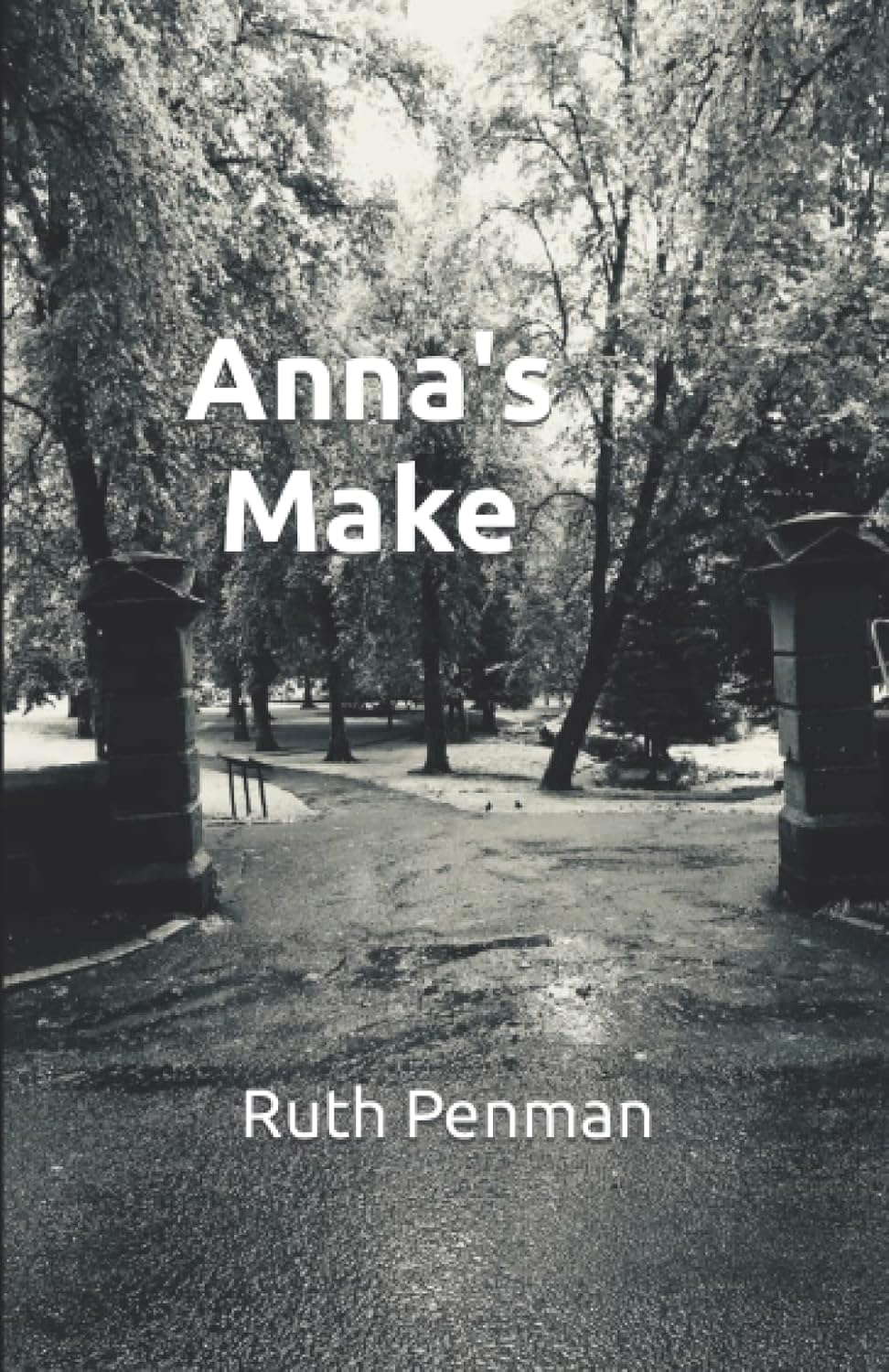 Anna's Make poster