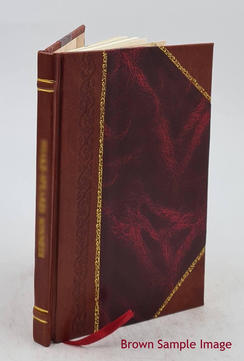 And Horror the Soul of the Plot 1902 [Leather Bound] poster