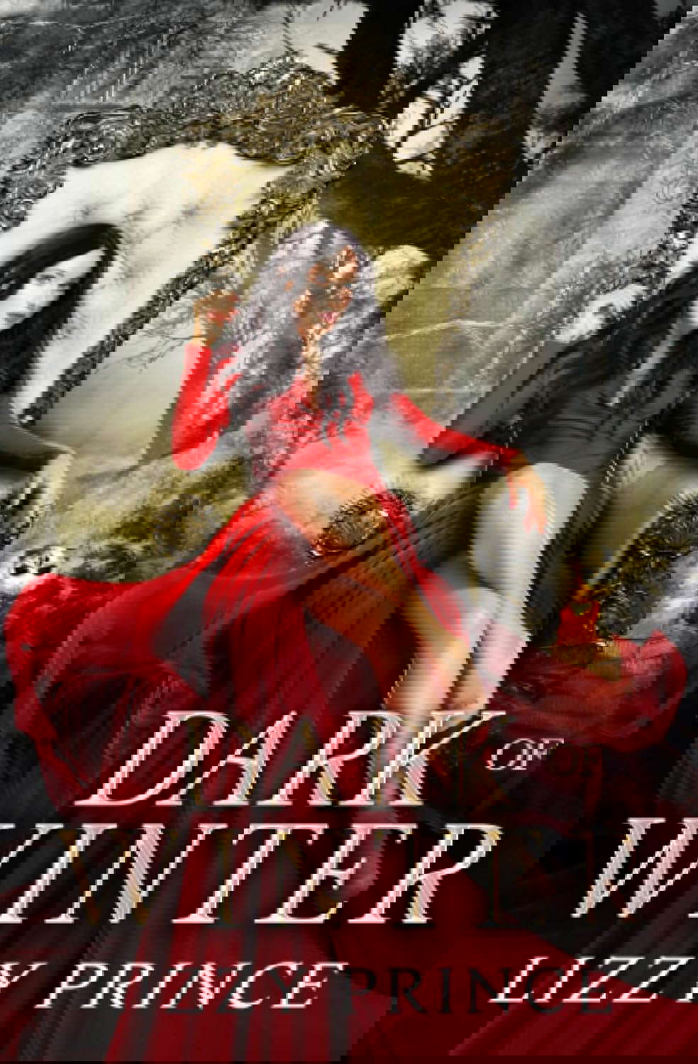 Dark of Winter (Wild Haven Series) poster