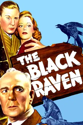 The Black Raven poster