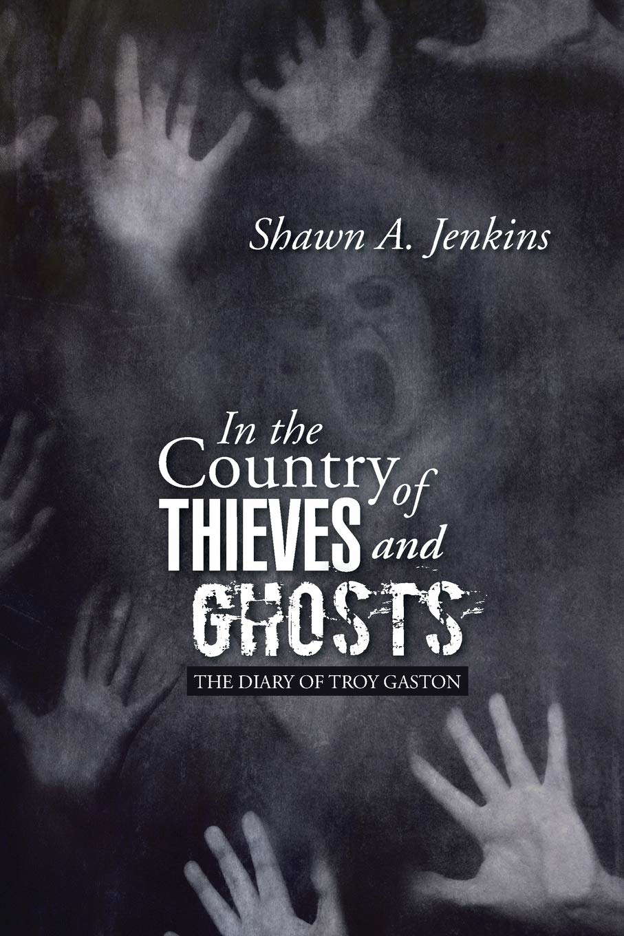 In the Country of Thieves and Ghosts: (The Diary of Troy Gaston) poster