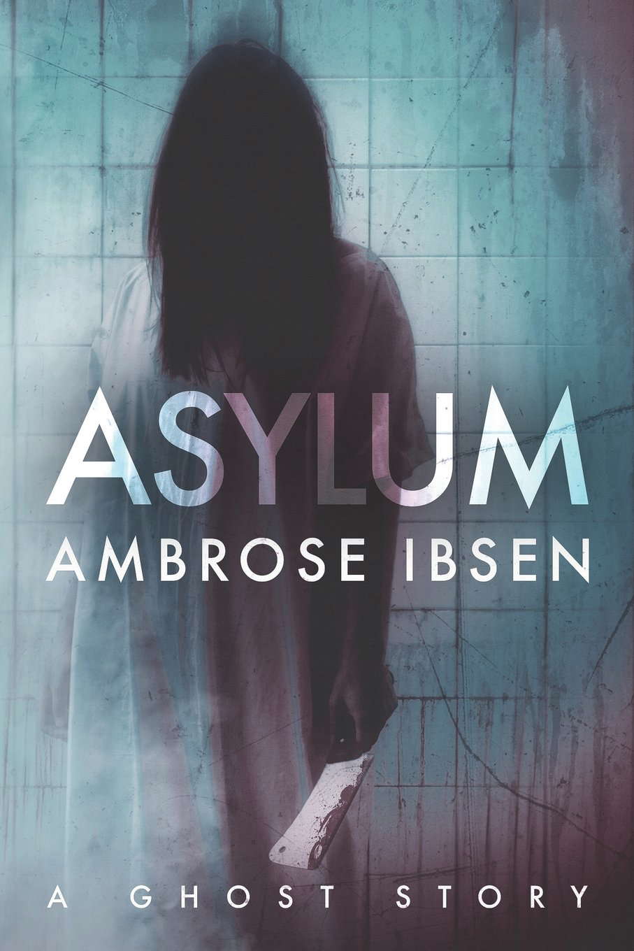 Asylum (The Afterlife Investigations) poster