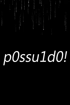 p0ssu1d0! poster