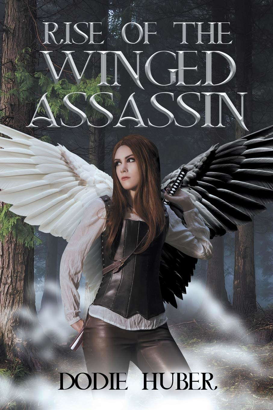 Rise of the Winged Assassin poster
