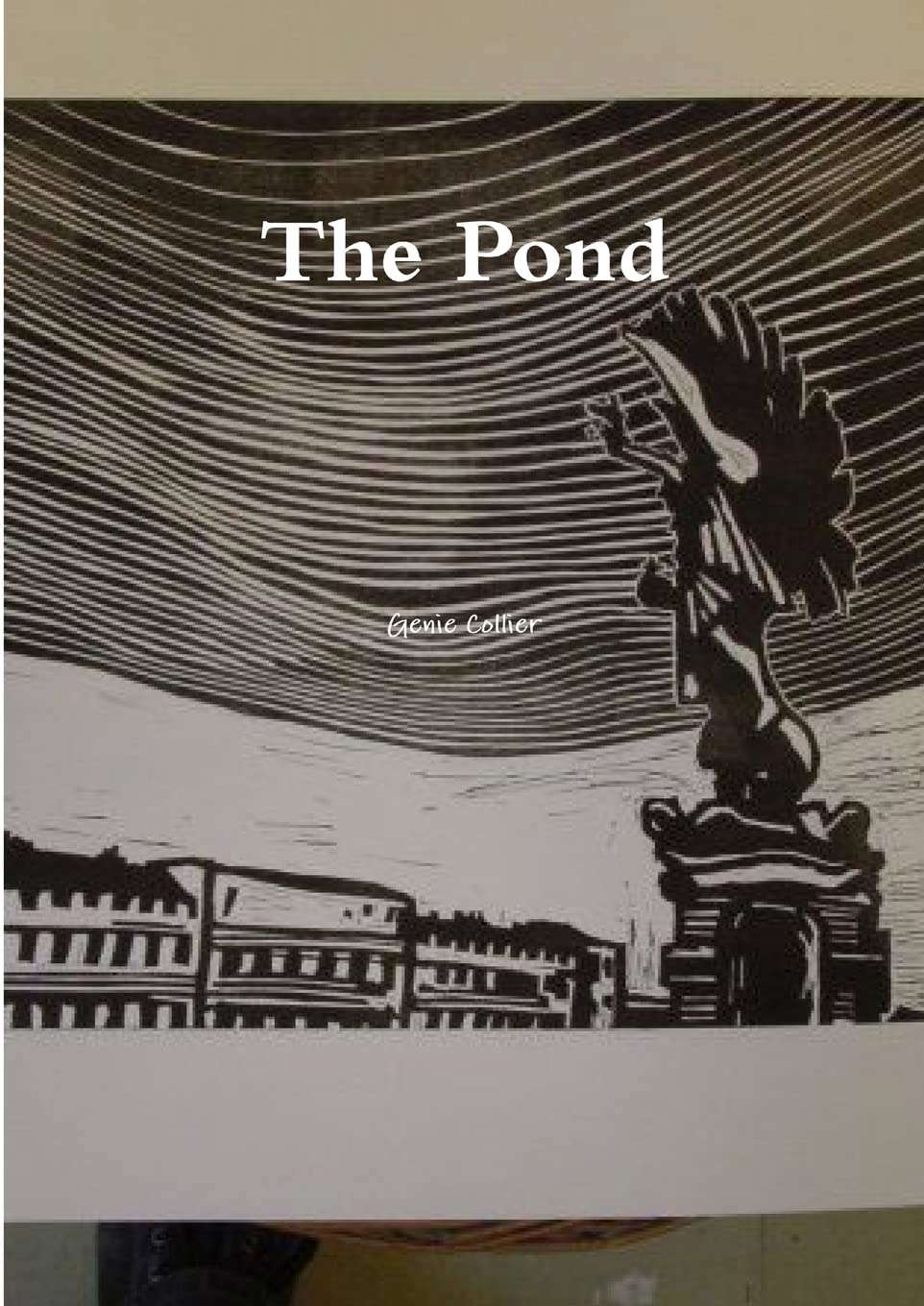 The Pond poster