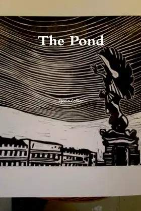 The Pond poster